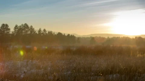Yellow field and mountain sunset landscape Stock Footage 87770541