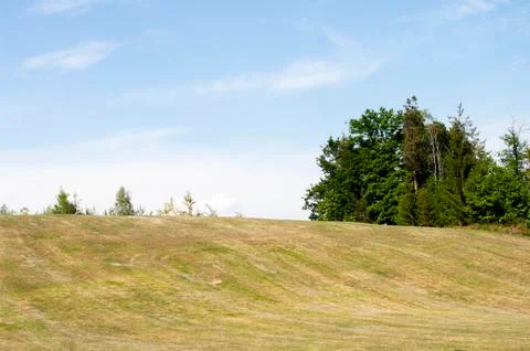 Yellow field, cutted grass, spring time, natural background, country side. Stock Photos