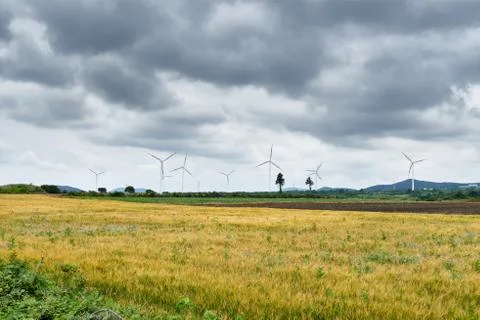 Yellow field with wind generators Stock Photos