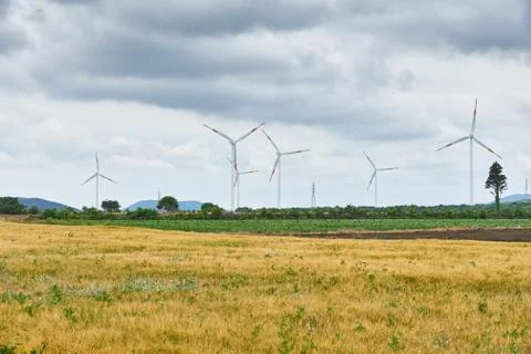 Yellow field with wind generators Stock Photos