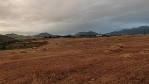 Yellow fields 1 Stock-Footage 331741854