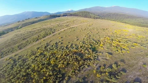 Yellow fields and mountain Video stock 81696345