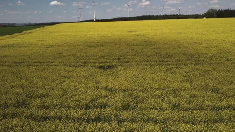 Yellow Fields and Wind Turbines Disclosure drone shot Stock Footage 335760122