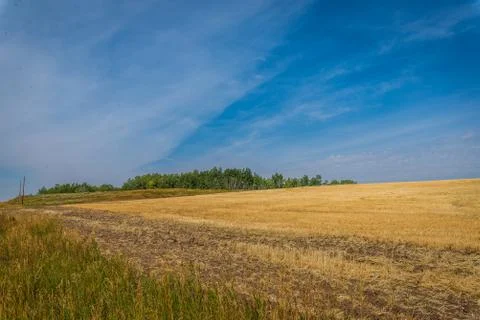 Yellow fields, blue sky Stock Photos