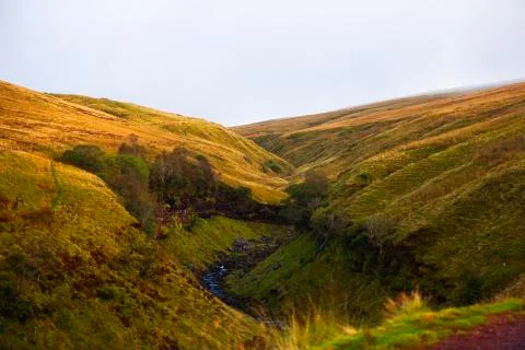 Yellow fields  Stock Photos