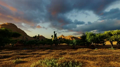 Yellow fire evening sunset dusk clouds old american west navajo desert nature Vidéo 181456977