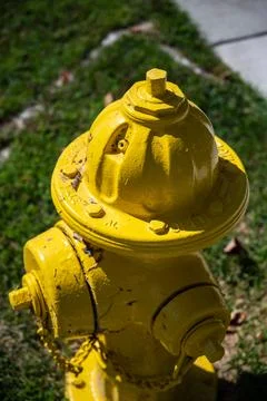 Yellow fire hydrant and grass and sidewalk Stock Photos