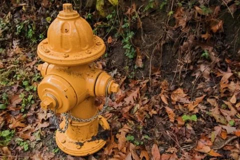 Yellow Fire Hydrant in Fall Stock-Fotos