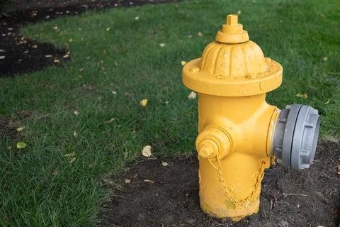 Yellow fire hydrant on grass with copy space Stock Photos
