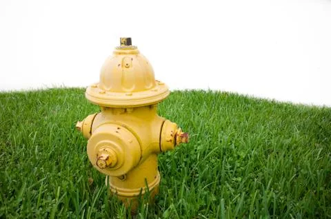 Yellow fire hydrant in grass Stock Photos