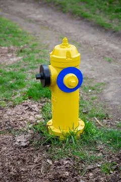Yellow Fire Hydrant by grass Stock Photos
