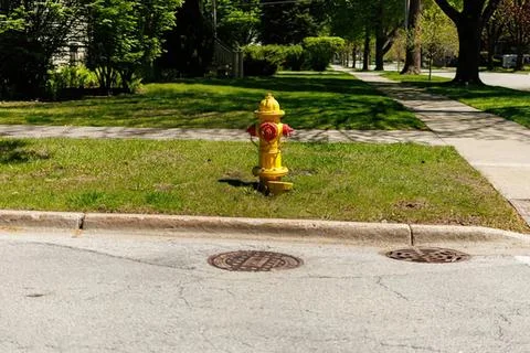 Yellow fire hydrant on green grass near sidewalk in park Stock Photos