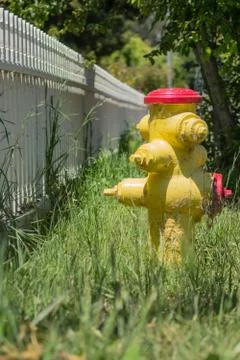 Yellow Fire Hydrant Next To A White Picket Fence Stock Photos