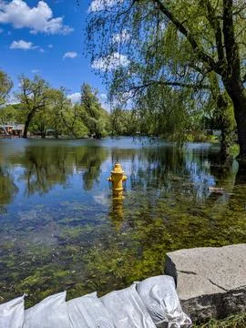 Yellow fire hydrant partially submerged in spring floodwater Stock Photos