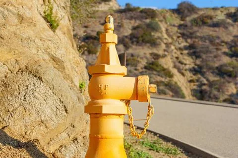 Yellow Fire Hydrant by a Paved Fire Road Stock-Fotos