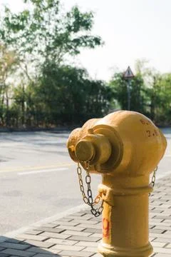 Yellow Fire Hydrant 写真素材