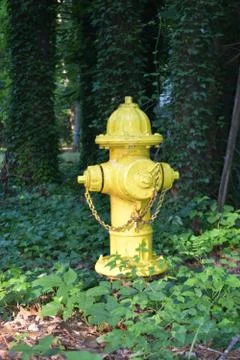 Yellow Fire Hydrant Stock-Fotos