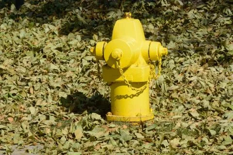 Yellow fire hydrant Foto stock