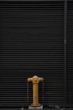 Yellow Fire Hydrant Stock Photos