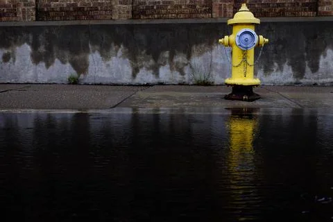 Yellow Fire Hydrant Reflected in Pool of Water Flood Stock Photos