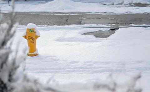 Yellow fire hydrant on the road covered in snow 스톡 사진
