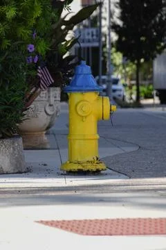 Yellow fire hydrant on the roadside Stock Photos