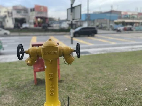 Yellow Fire Hydrant Roadside Public Safety Stock Photos