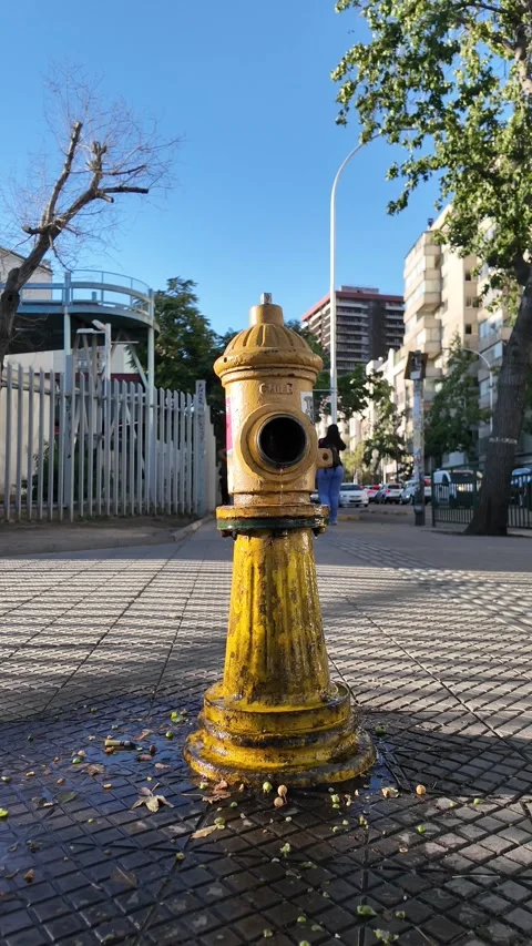 Yellow Fire Hydrant Spraying Water onto City Sidewalk Stock Footage 311558342