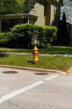 Yellow fire hydrant stands in front of green grass and a house located in a.. Stock Photos