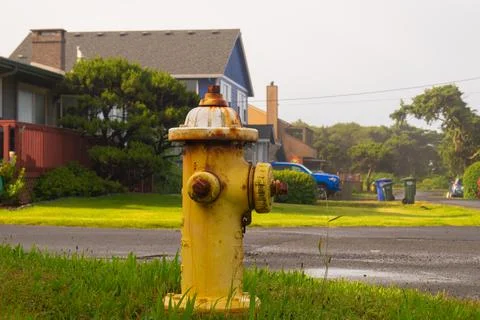 Yellow fire hydrant on the street. Stock Photos