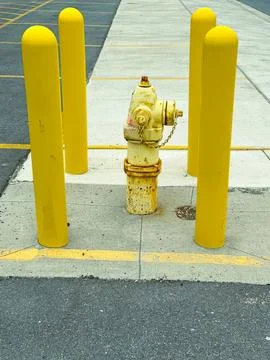 Yellow fire hydrant surrounded by yellow safety poles on sidewalk Stock Photos
