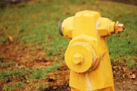 Yellow Fire Stock Photos