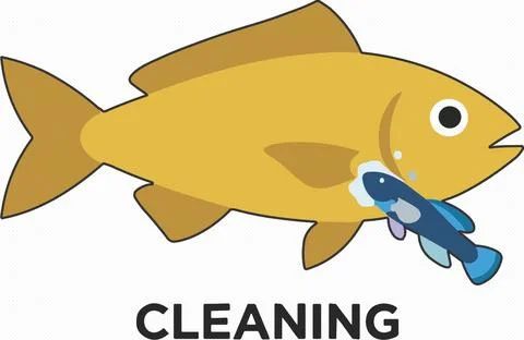 Yellow Fish Tail Cartoon Vector Illustration on White Background Stock Illustration