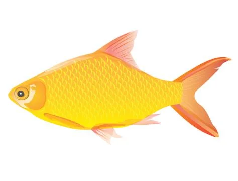 Yellow fish on white background Stock Illustration