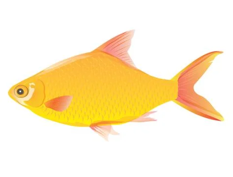 Yellow fish on white background Stock Illustration