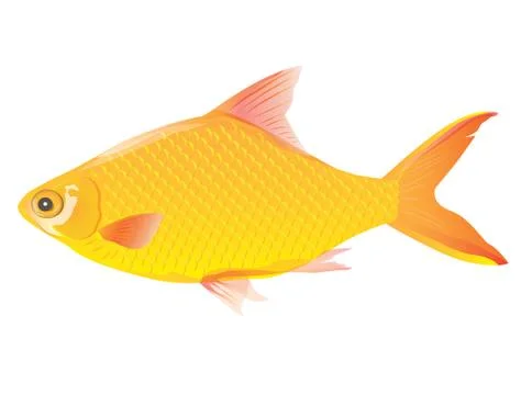 Yellow fish on white background Stock Illustration