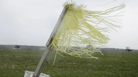 Yellow flag in the field Stock-Footage 55196461