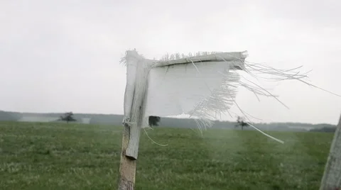 Yellow flag in the field Stock Footage 55196754