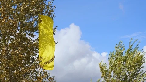 A yellow flag flutters in a strong wind. 4K video flag on sky background. Stock Footage 117860101