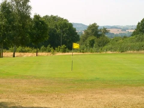 Yellow Flag Stock Footage 490445