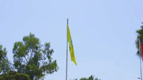 The yellow flag of the municipality of surco district waving on the flagpole Stock Footage 150665314