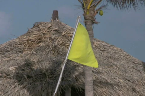 Yellow flag waving on the beach 2 NTSC Stock Footage 321444