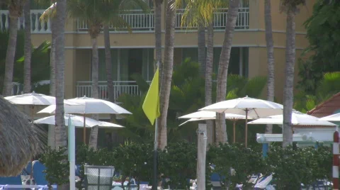 Yellow flag waving on the beach 3 Video stock 321561