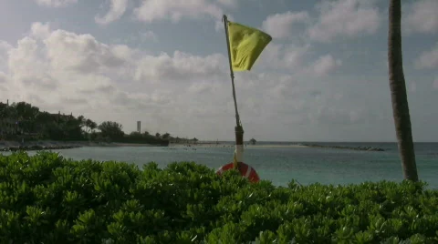 Yellow flag waving on the beach Stock Footage 320570