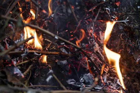 Yellow flame is burning from the fire Stock Photos