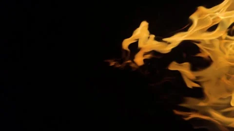 Yellow flames on black background. Strong fire on black background. Beautiful Stock Footage 309007428