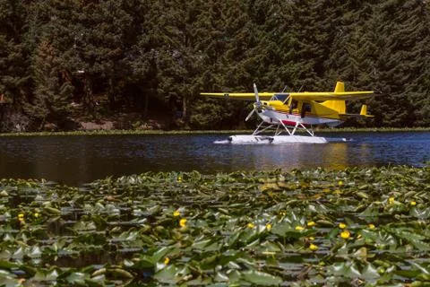 Yellow floatplane taking off on a pond 库存照片
