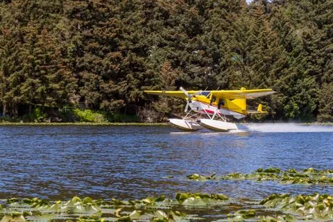 Yellow floatplane taking off on a pond 库存照片