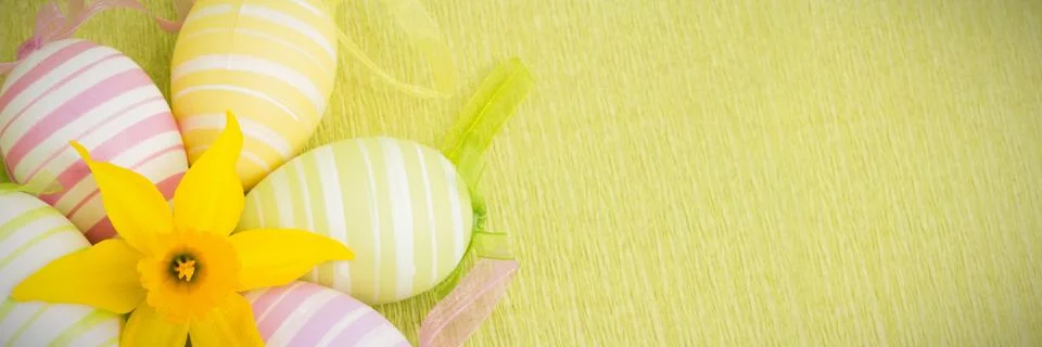 Yellow flower and easter eggs Photos