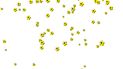 Yellow flower background white Stock Footage 66434626